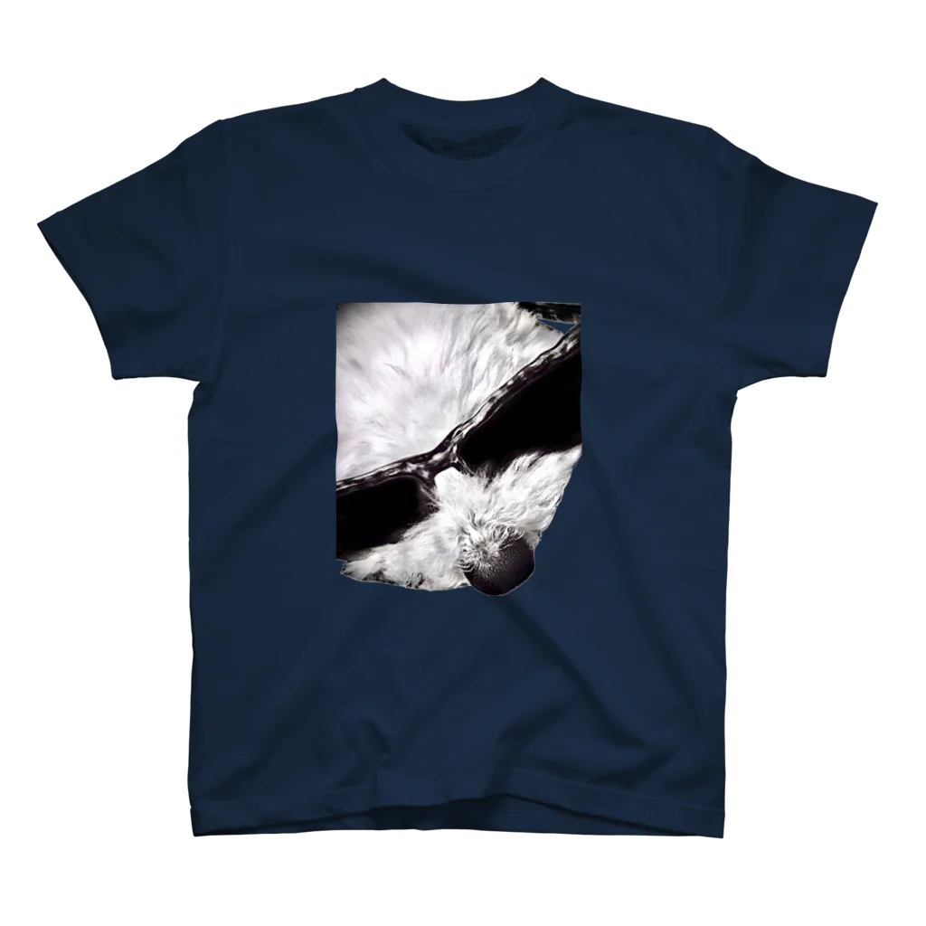 お茶坊のDog Rock'n'Roll Regular Fit T-Shirt