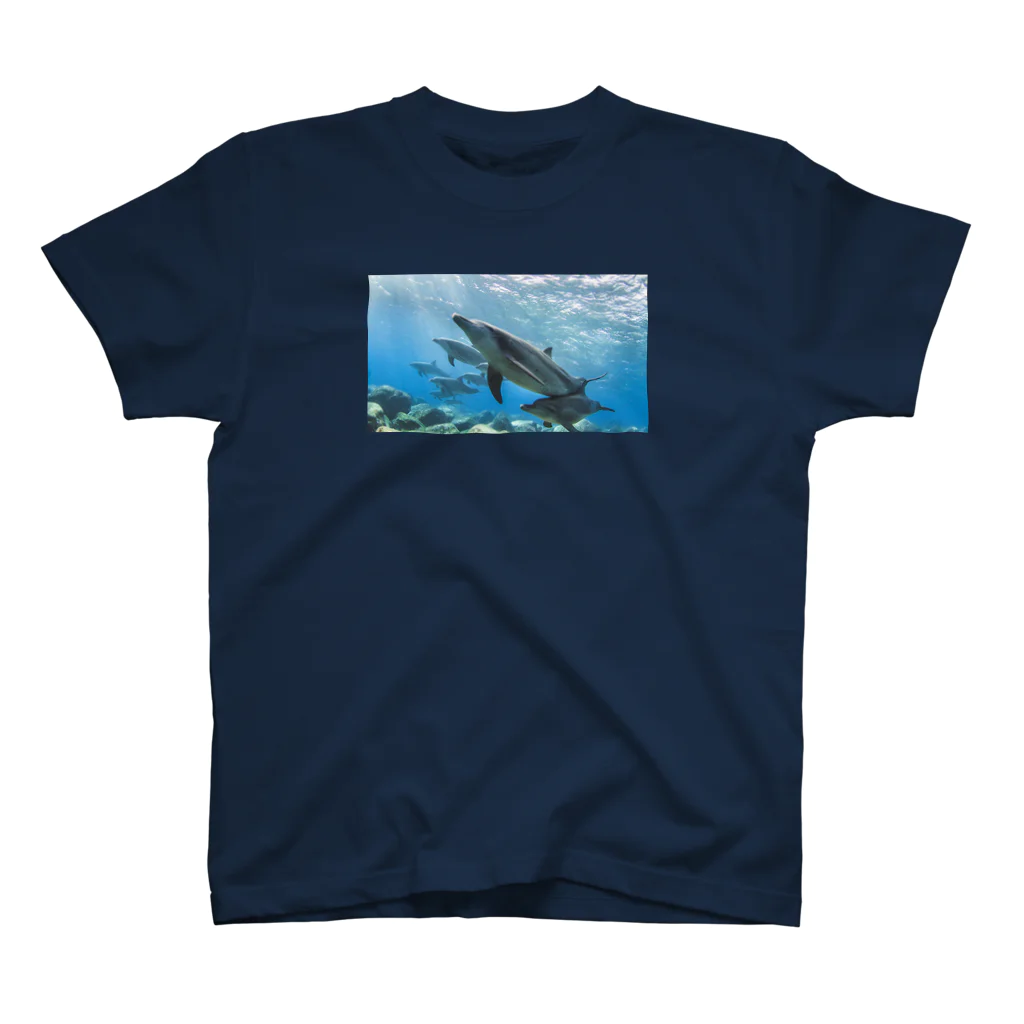 BLUE DOLPHINのLove Dolphin 4 Regular Fit T-Shirt