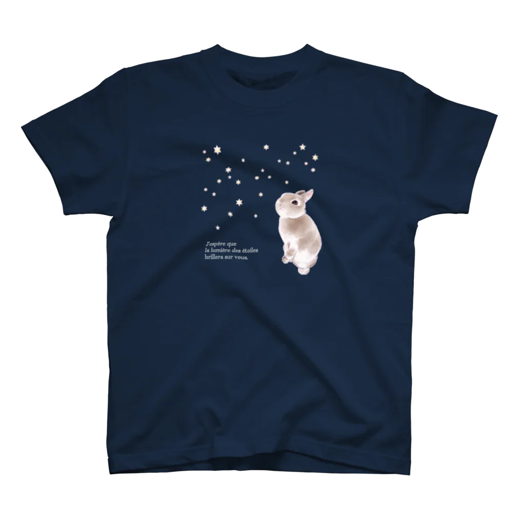 ECLAIR BUNNYの星降る夜 スタンダードTシャツ