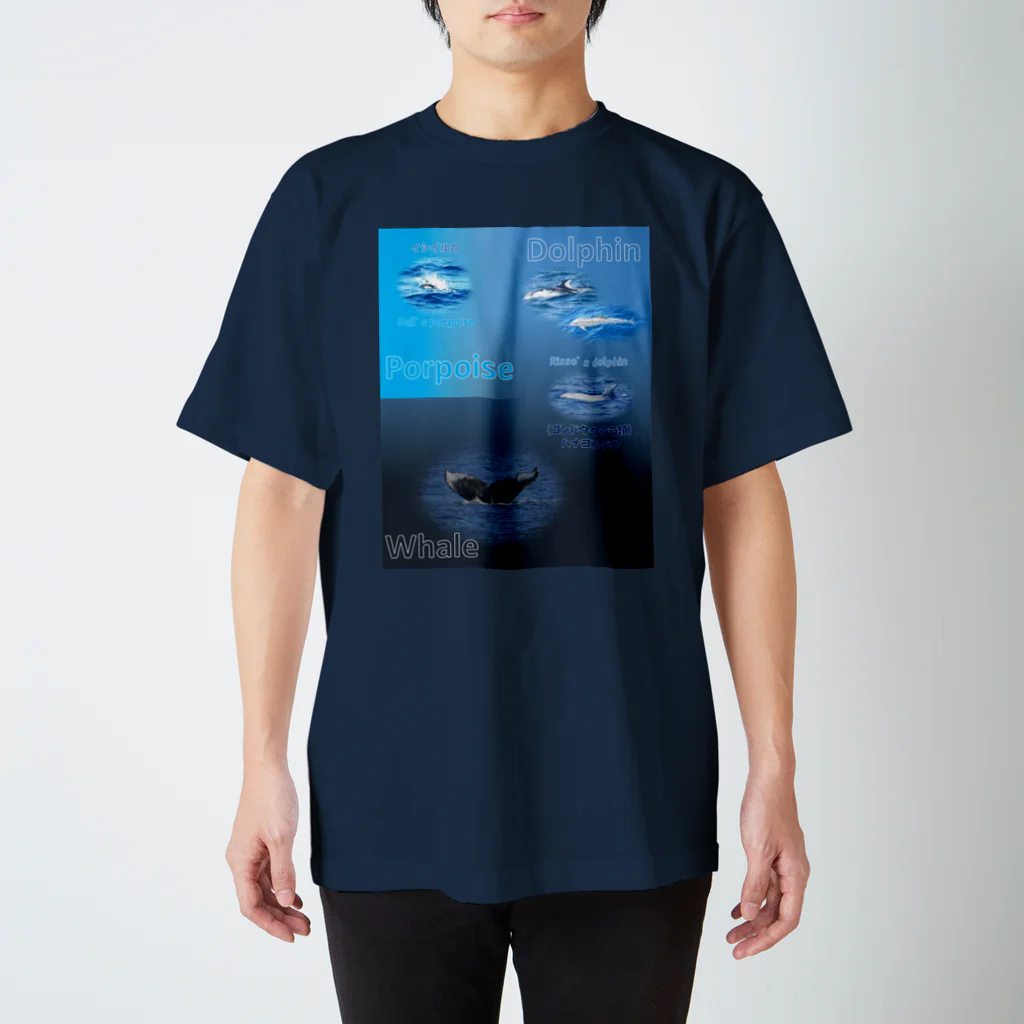 L_arctoaのイルカとクジラの違い スタンダードTシャツ