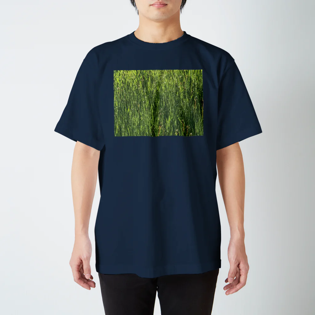 空屋　sorayakusakaの201905291758002　雨上がり Regular Fit T-Shirt