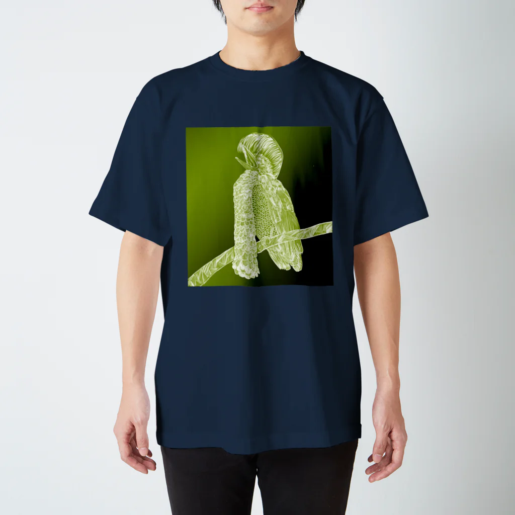風見鶏　風助のナガエカサドリ Regular Fit T-Shirt