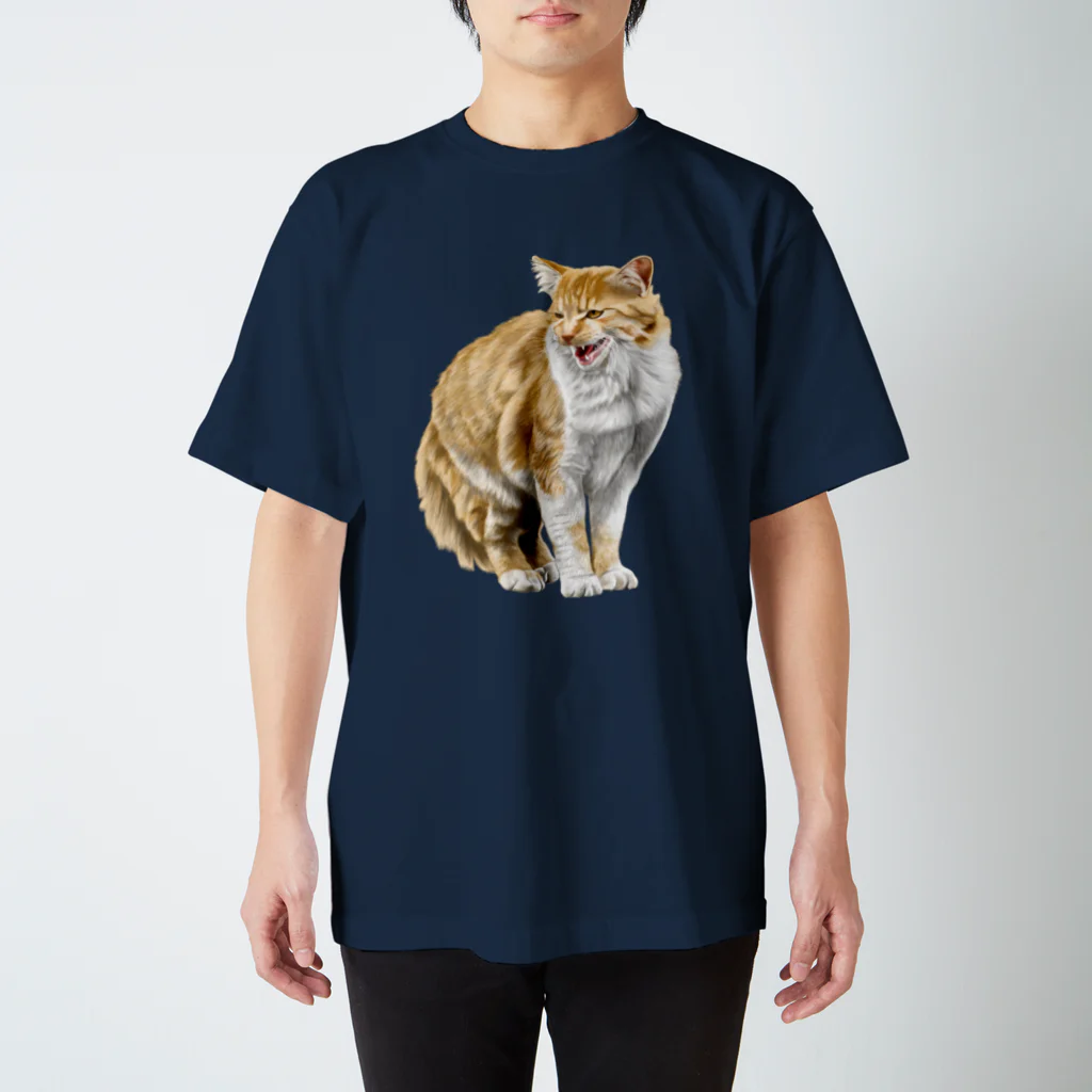 もっち（mocchi）のキツネコちゃん(修正版) Regular Fit T-Shirt