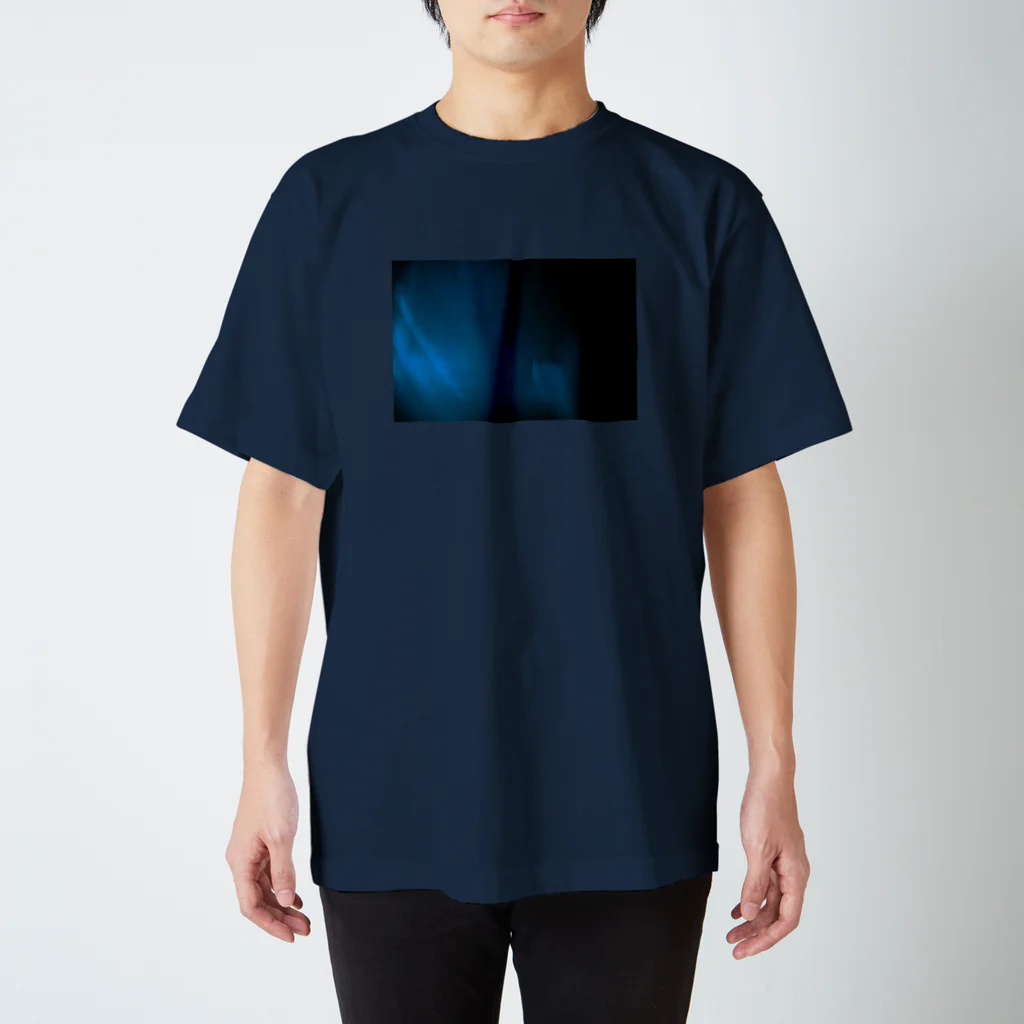 ザヤスのれんとげん Regular Fit T-Shirt