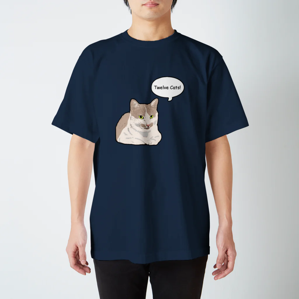 Twelve CatsのCOMIC! 5 スタンダードTシャツ