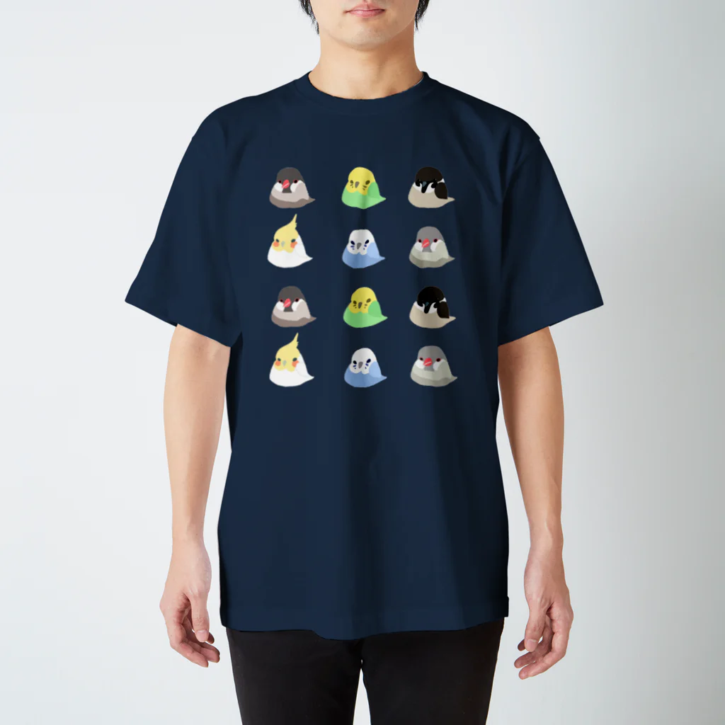 ゆるきものたちのことりたち Regular Fit T-Shirt