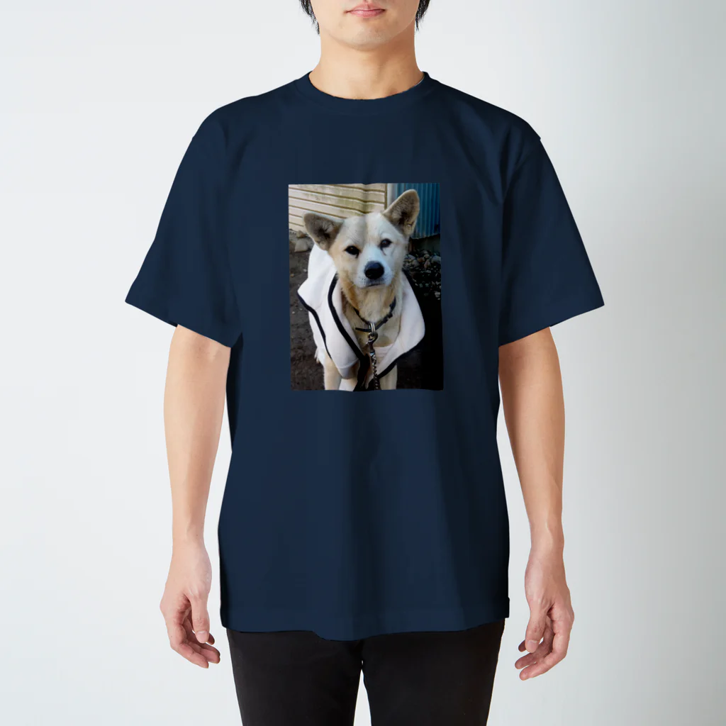 雑種犬（第三の犬）の雑種犬（第3の犬）ﾆｺﾆｺ笑う スタンダードTシャツ