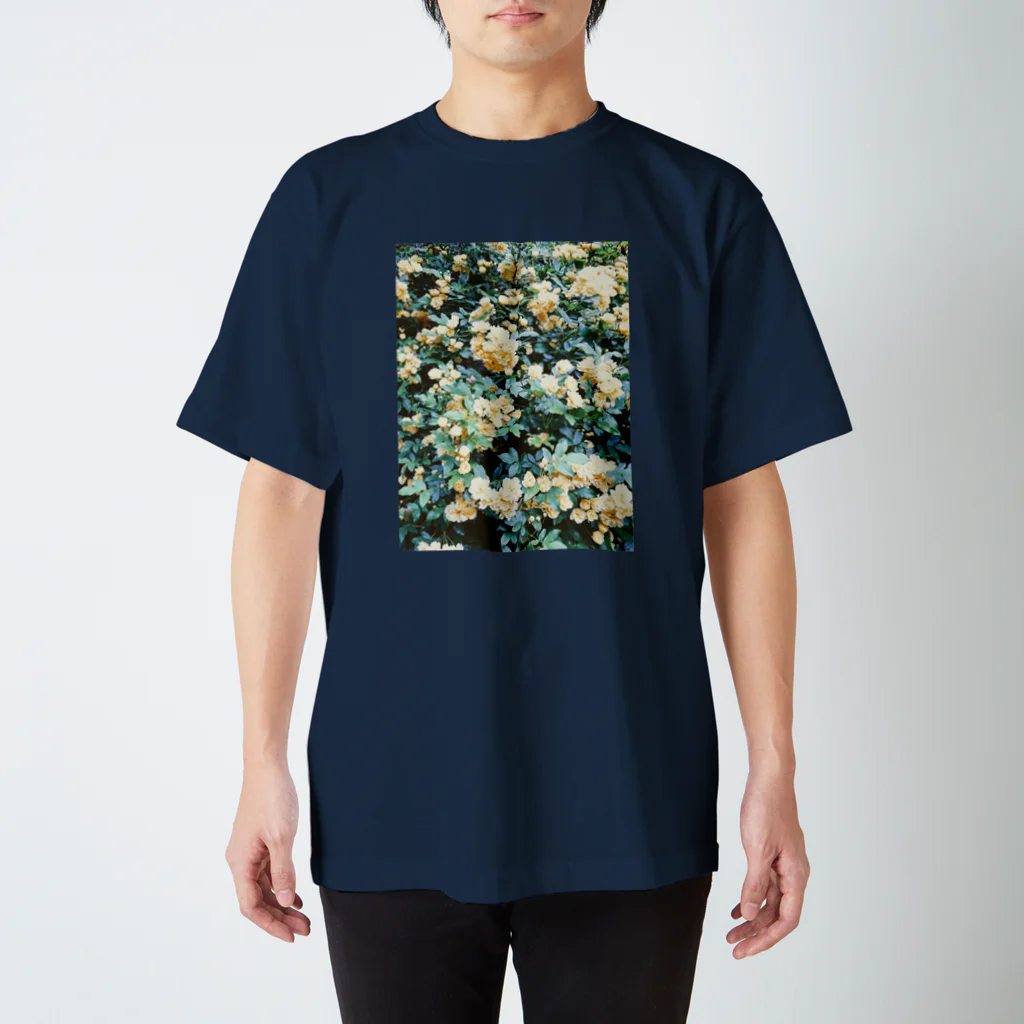 古春一生(Koharu Issey)の夢で触れた花。(参) スタンダードTシャツ