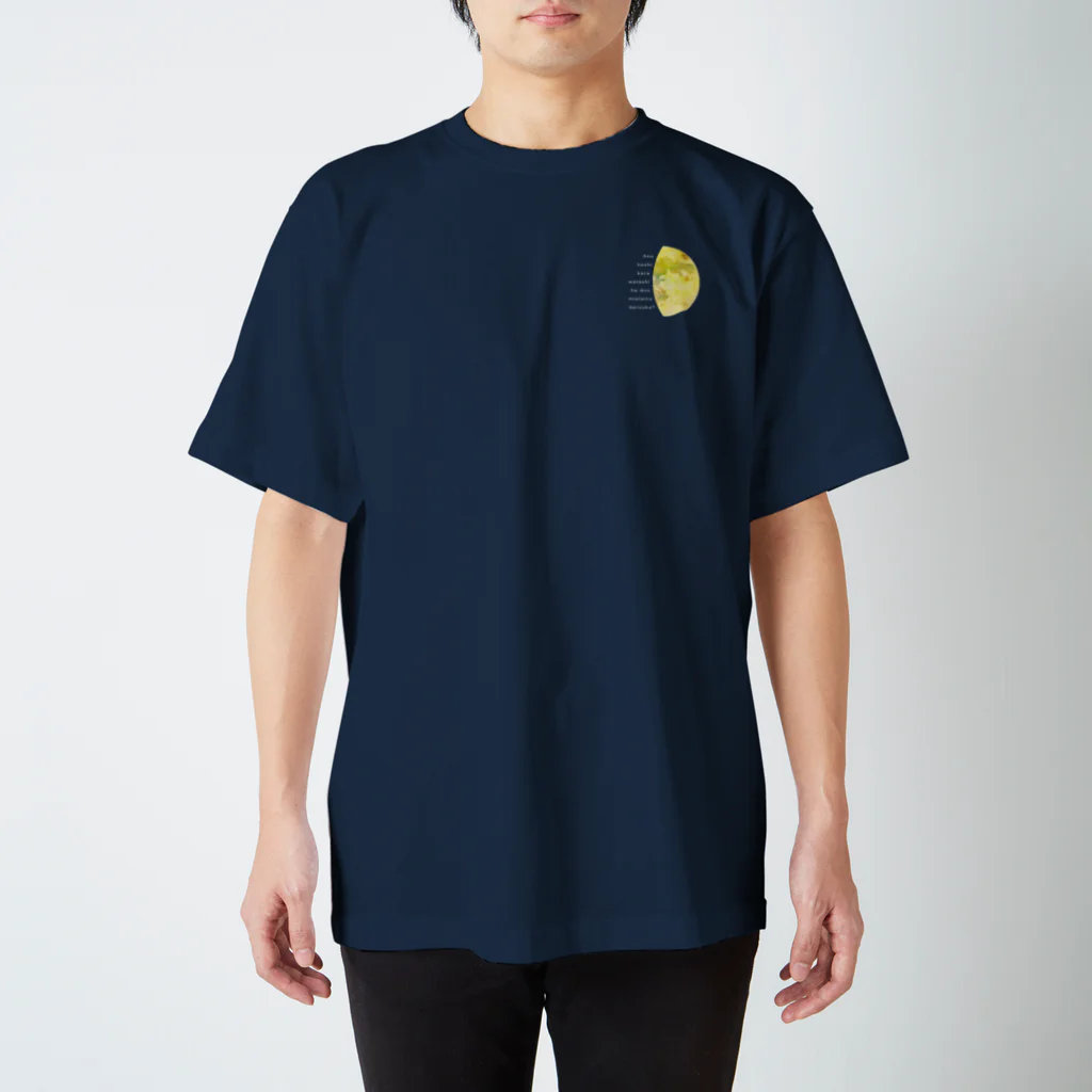 ShikakuSankakuの地球と月の満ち欠け(地球から見た月) 黒地用 Regular Fit T-Shirt