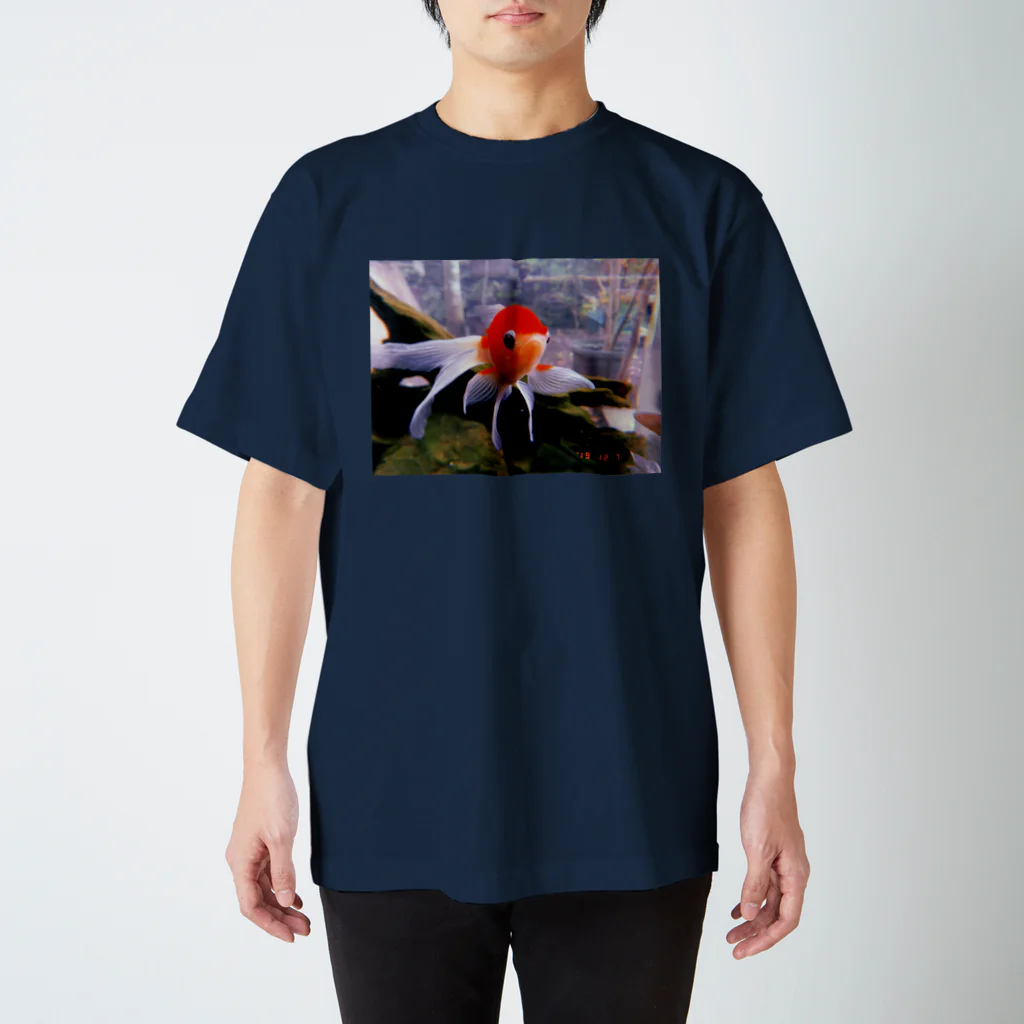 chavezの金魚 スタンダードTシャツ