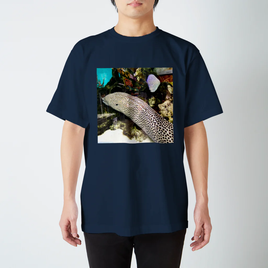 街の遊撃手の水槽 スタンダードTシャツ