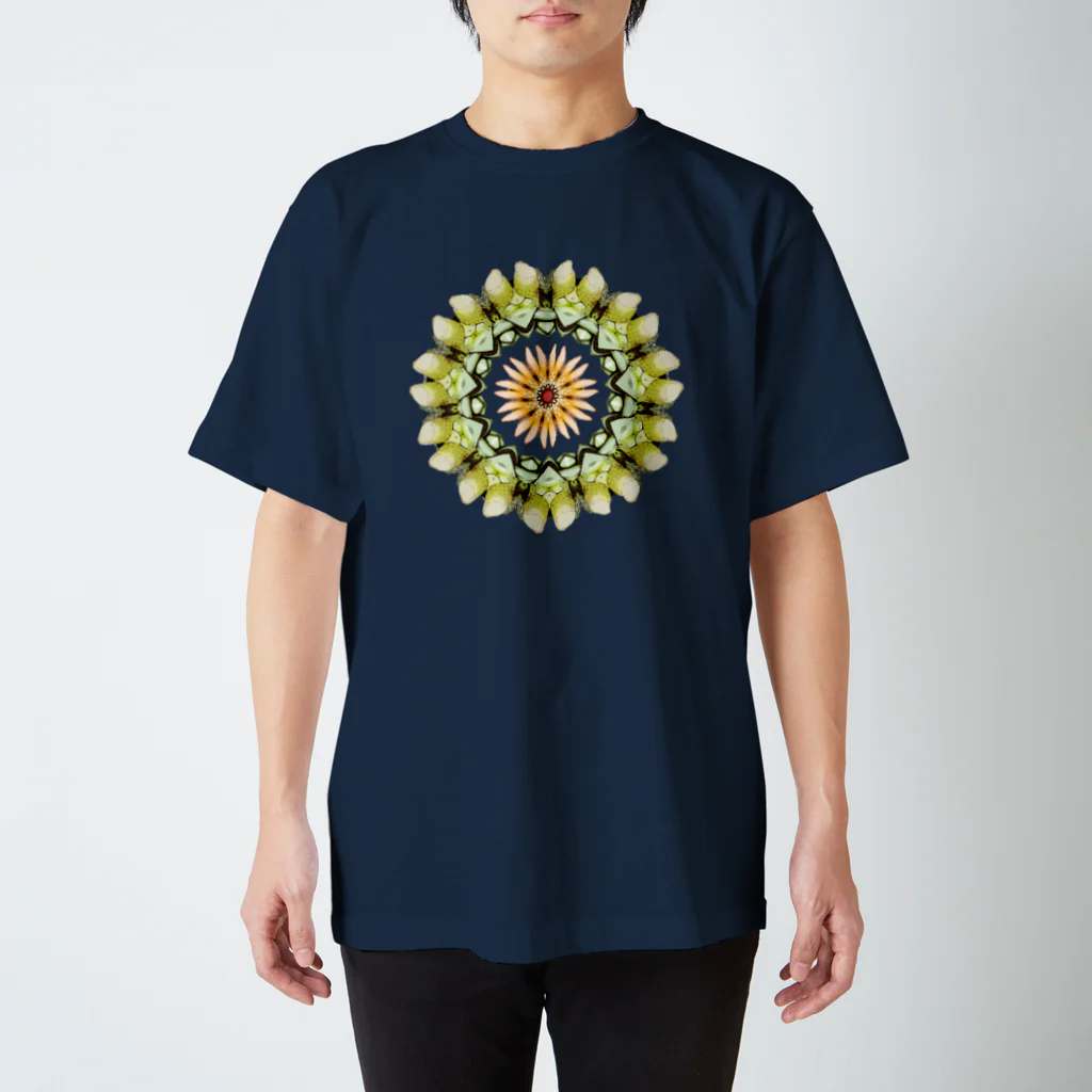 🏕小川ハルのトウモロコシの万華鏡 スタンダードTシャツ