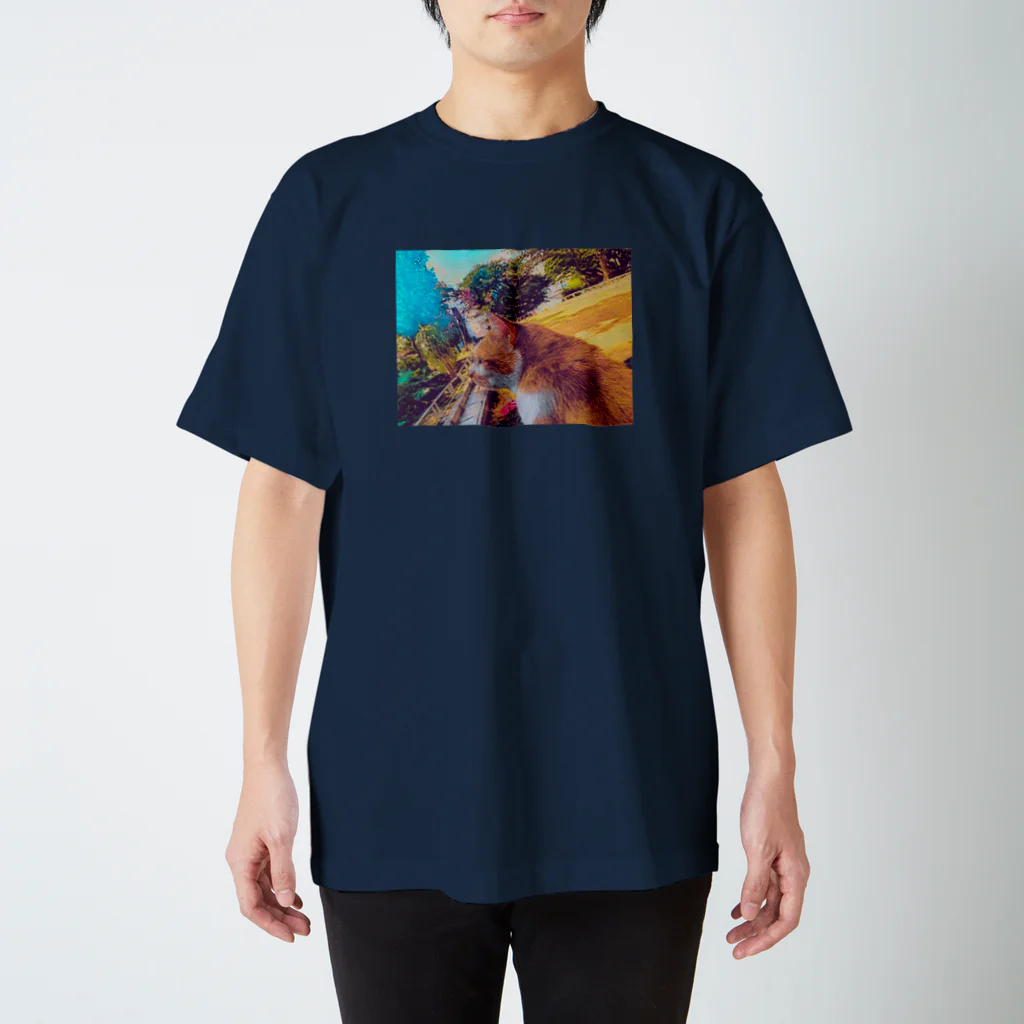 ひろん(沖縄の人のスマホ写etc…blog)のおきなわねこちゃん Regular Fit T-Shirt