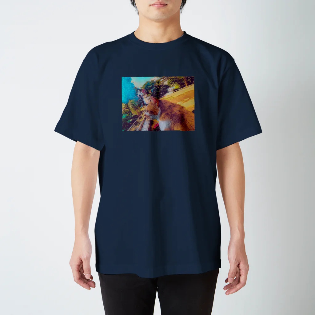 ひろん(沖縄の人のスマホ写etc…blog)のおきなわねこちゃん スタンダードTシャツ