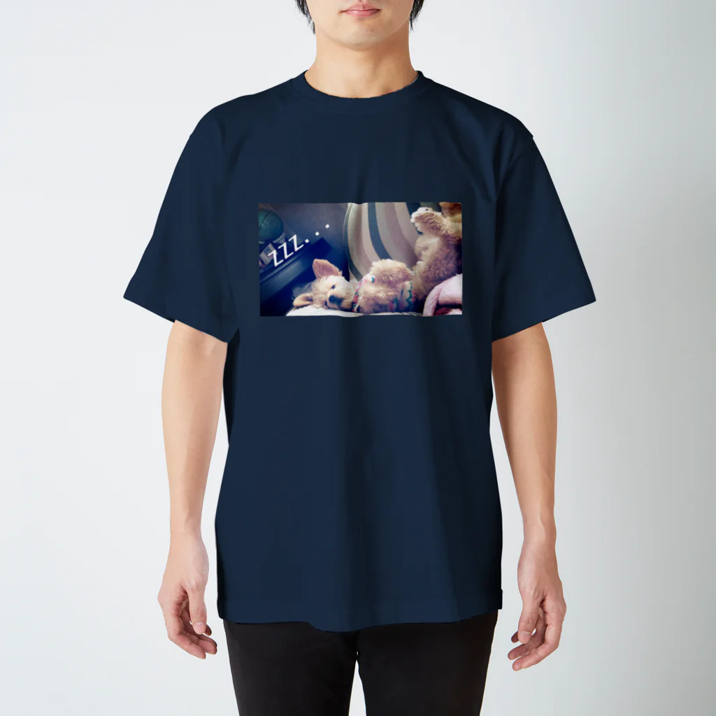 Chino&Cocoのpomapoo  coco スタンダードTシャツ