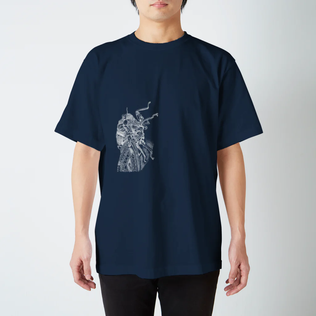 無名昆虫のアブラゼミ スタンダードTシャツ