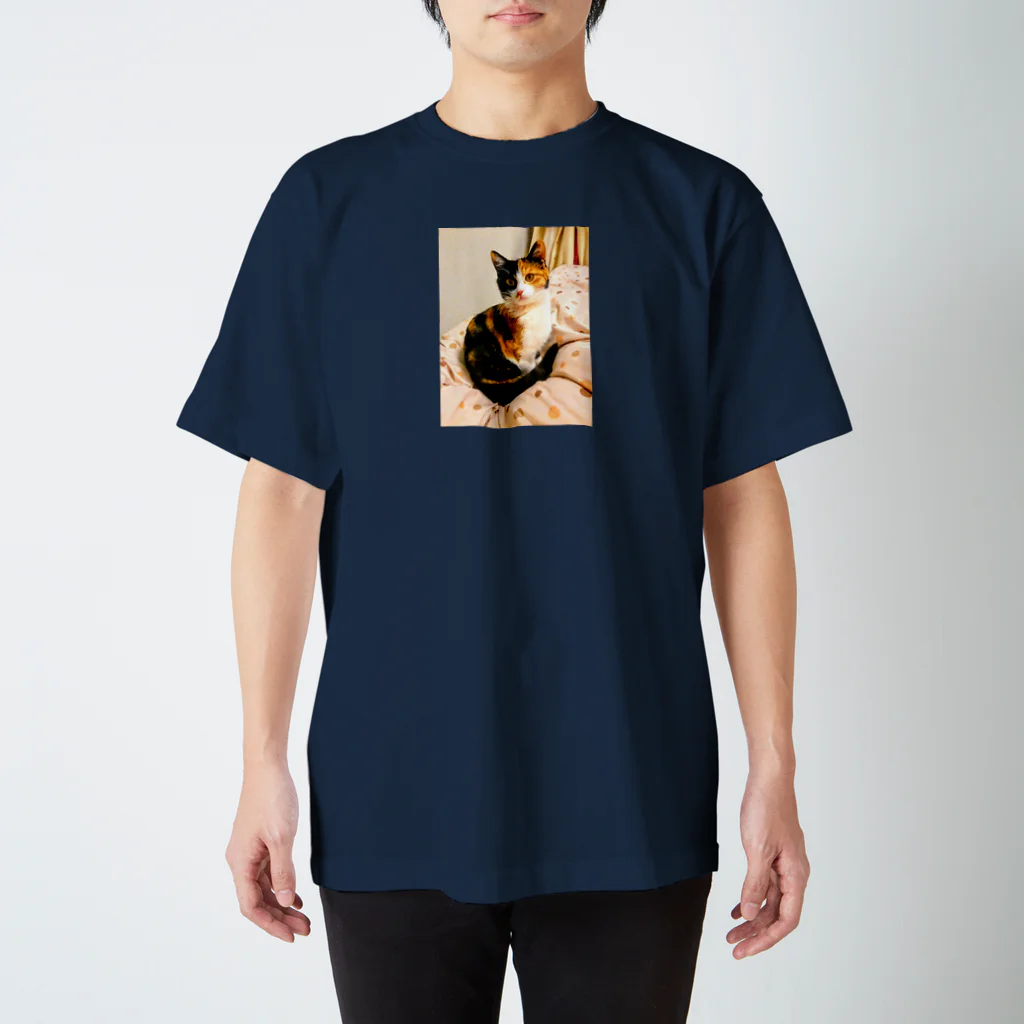 Hesseのまどろむ猫 Regular Fit T-Shirt