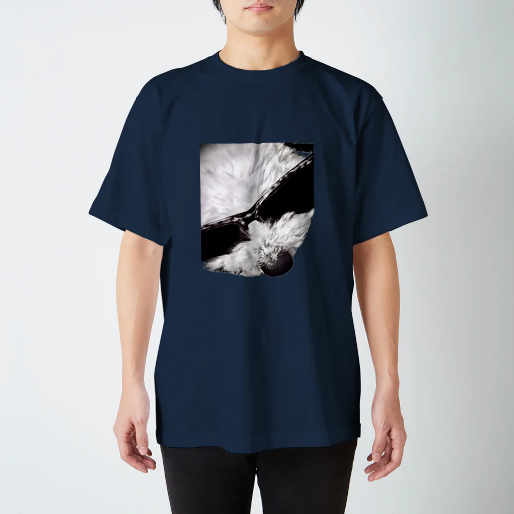お茶坊のDog Rock'n'Roll Regular Fit T-Shirt