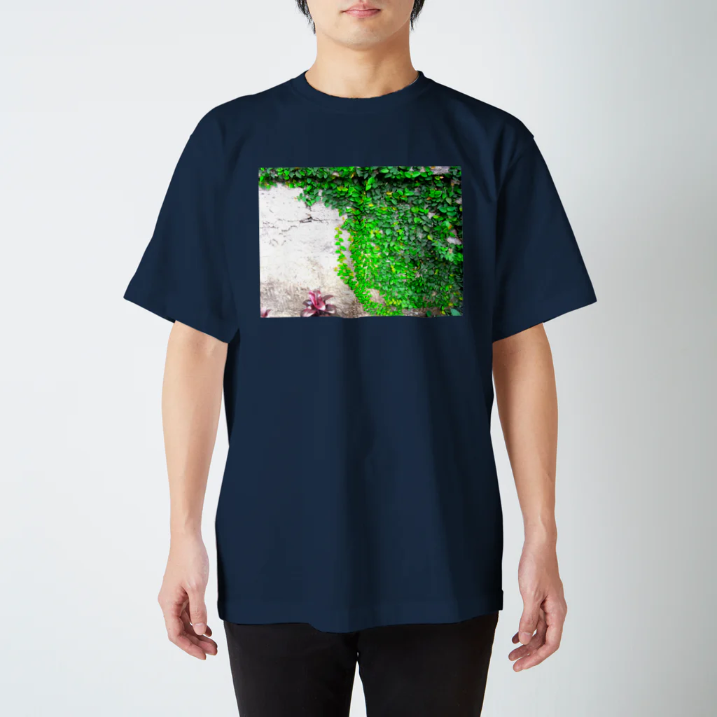 mood_of_moonの002 壁に這う緑 スタンダードTシャツ