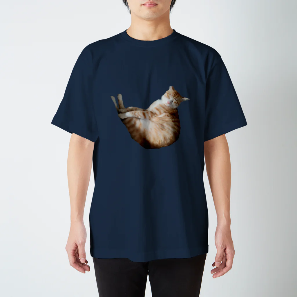 面白グッズ「Sharak」の変な格好で寝る猫シリーズ スタンダードTシャツ