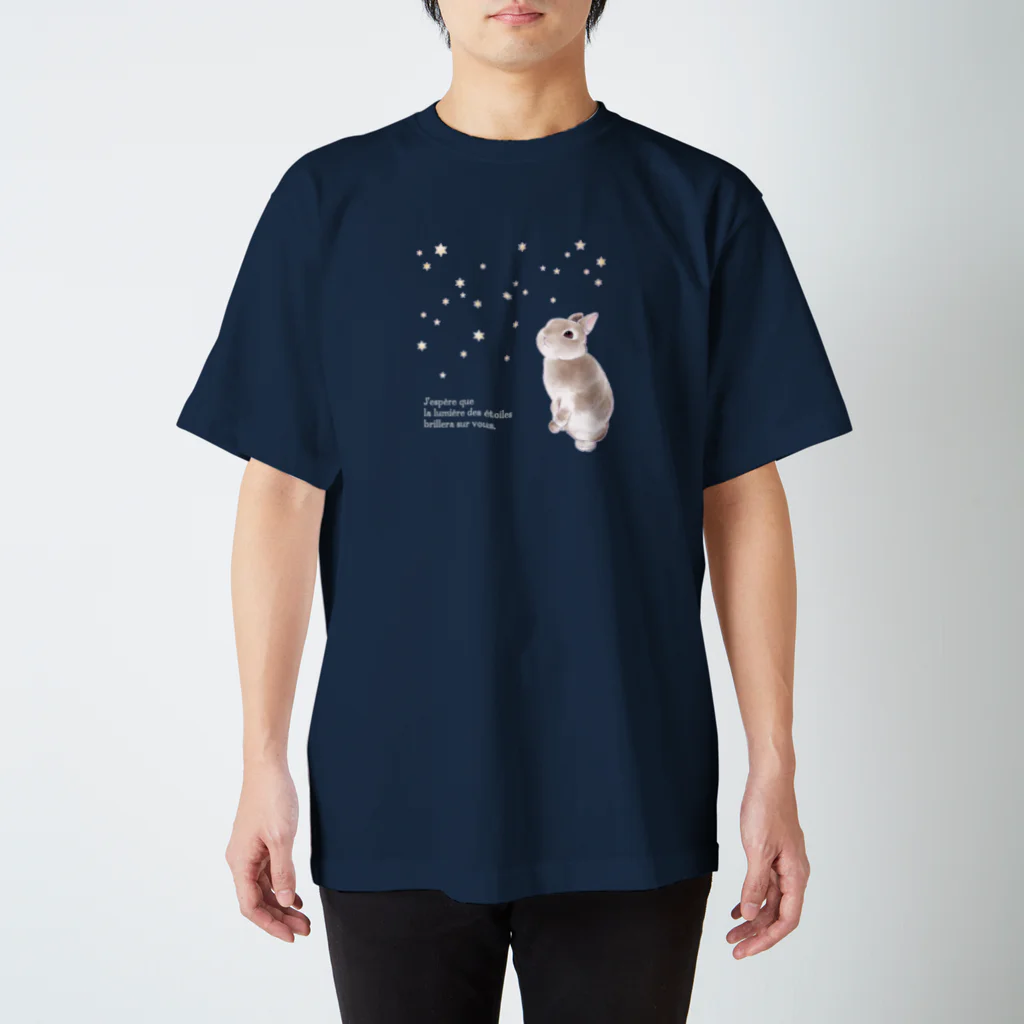 ECLAIR BUNNYの星降る夜 Regular Fit T-Shirt