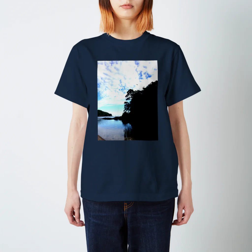 AliCoのocean T-shirt Regular Fit T-Shirt