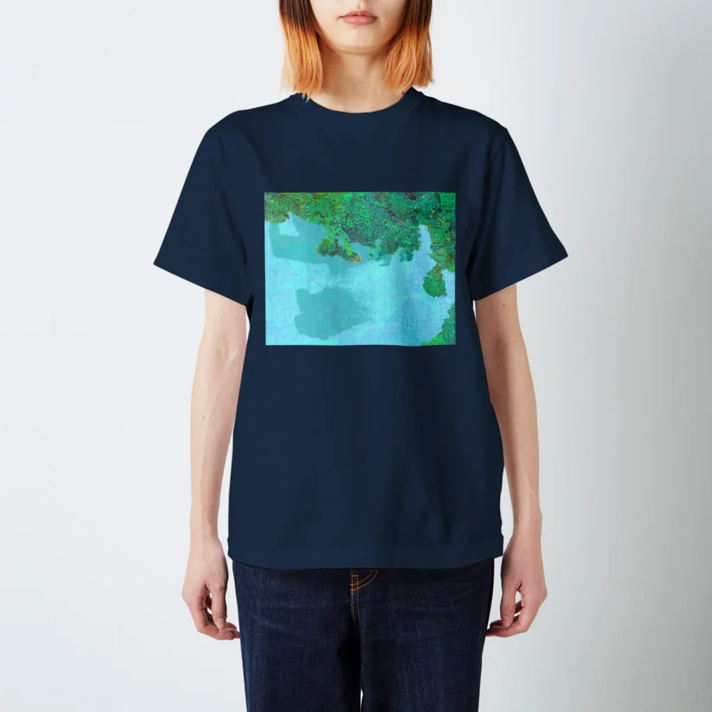 Rambutanの隠れパンダ Regular Fit T-Shirt