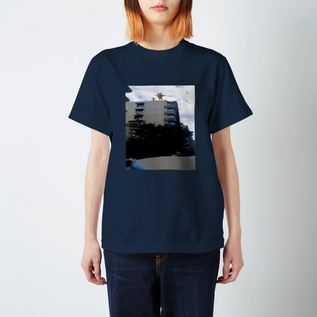 Lil S4ken0m1d0kvsh1n0nn4のh4ppyh4ppyh4ppyc4tmeme スタンダードTシャツ