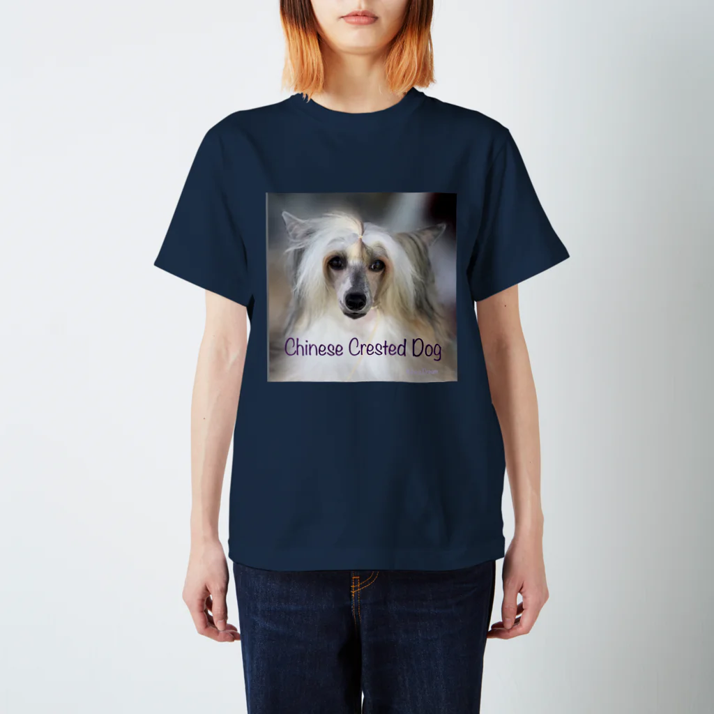 Kilara Dream Chinese Crested のチャイクレ つむぎバージョン スタンダードTシャツ