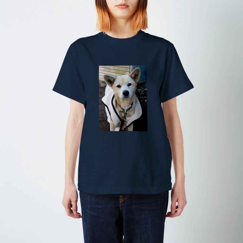 雑種犬（第三の犬）の雑種犬（第3の犬）ﾆｺﾆｺ笑う スタンダードTシャツ