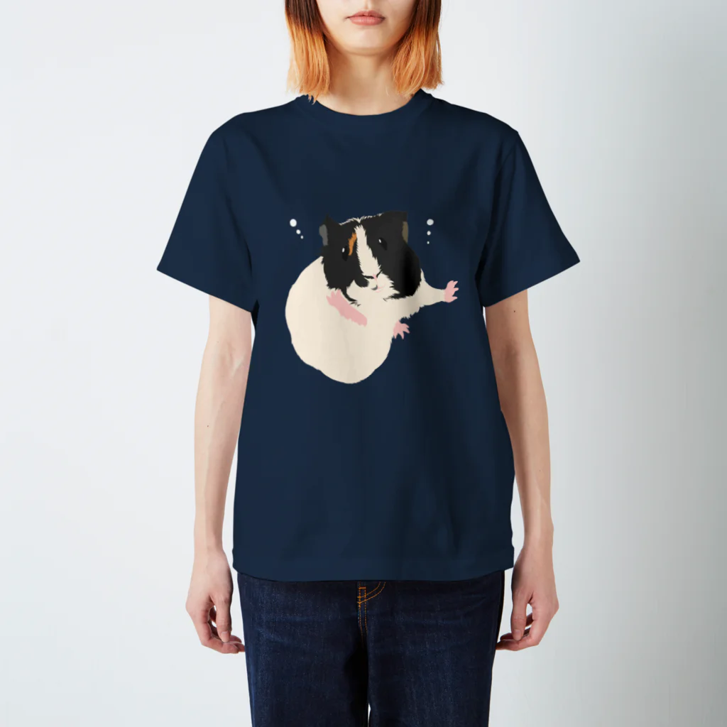 Lichtmuhleの空中と水中を漂うモルモット03 Regular Fit T-Shirt