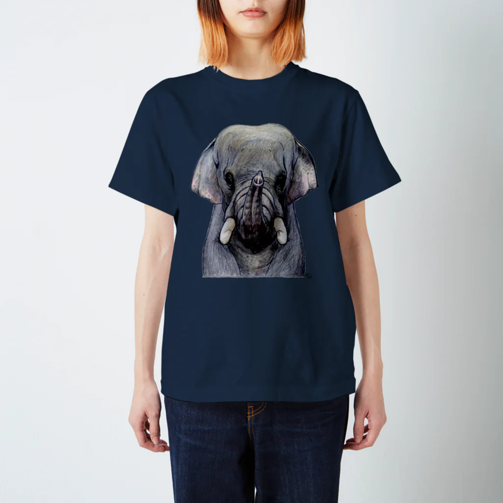 segasworksのインドゾウ Regular Fit T-Shirt