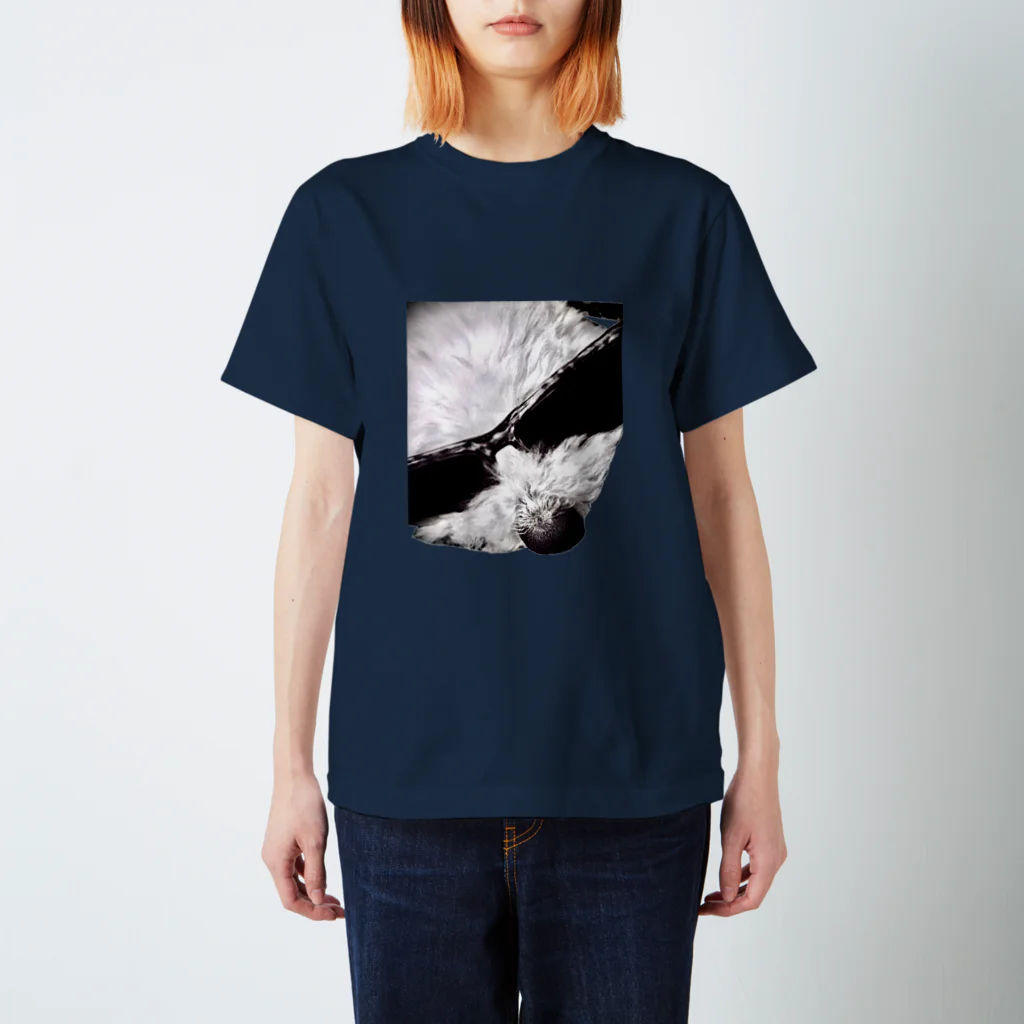 お茶坊のDog Rock'n'Roll Regular Fit T-Shirt