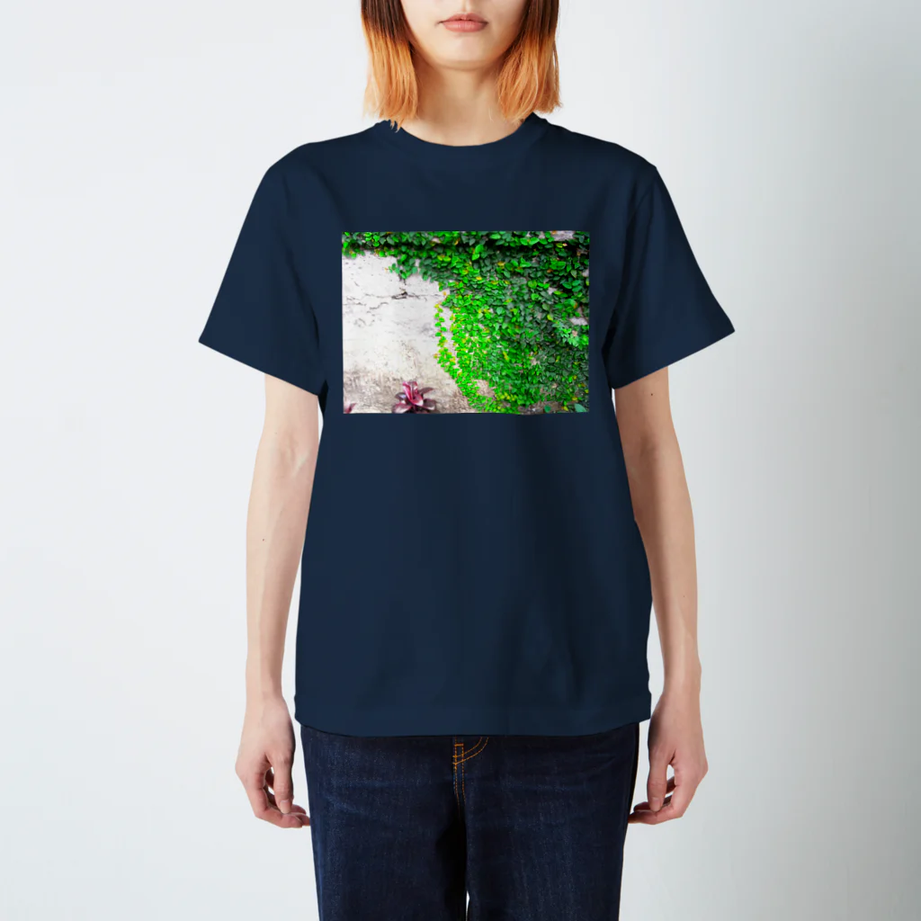 mood_of_moonの002 壁に這う緑 スタンダードTシャツ