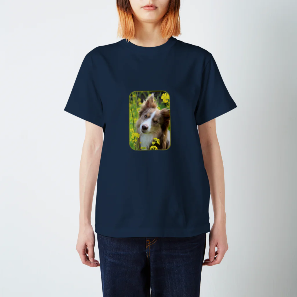 yukana-bellのボーダーコリー　菜の花畑 Regular Fit T-Shirt