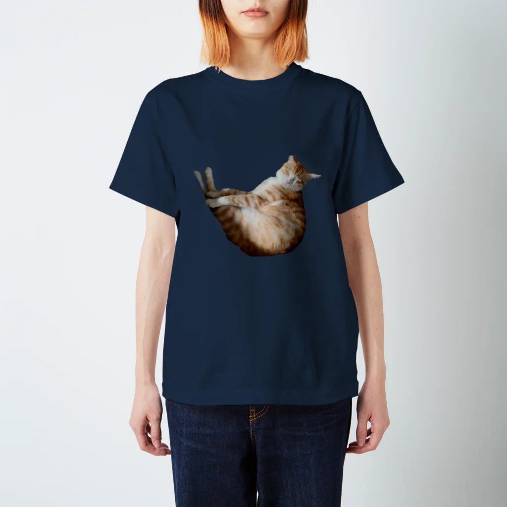 面白グッズ「Sharak」の変な格好で寝る猫シリーズ スタンダードTシャツ