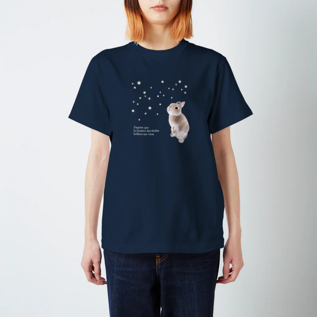 ECLAIR BUNNYの星降る夜 Regular Fit T-Shirt