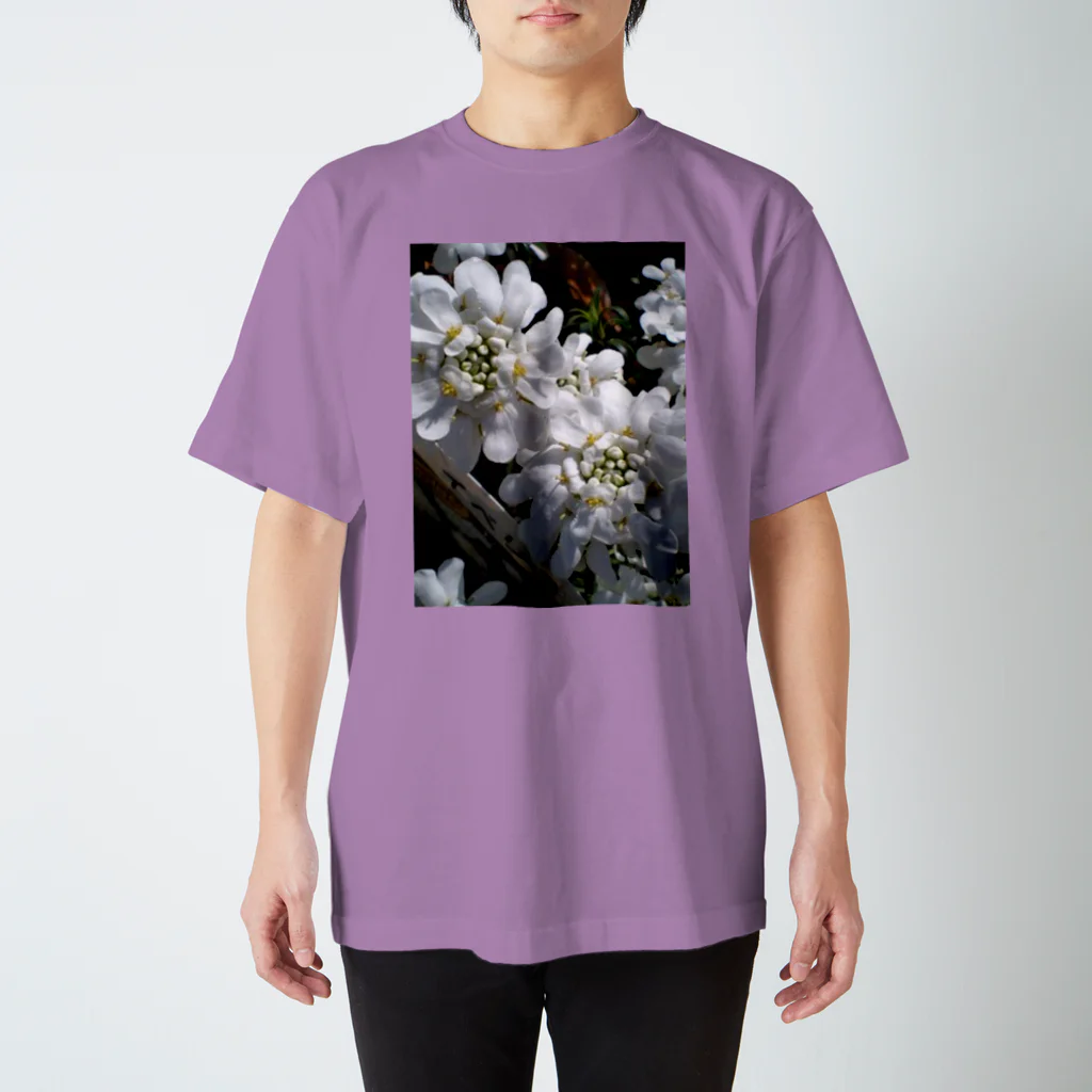 Dreamscape(LUNA)のシュガーキャンディー Regular Fit T-Shirt