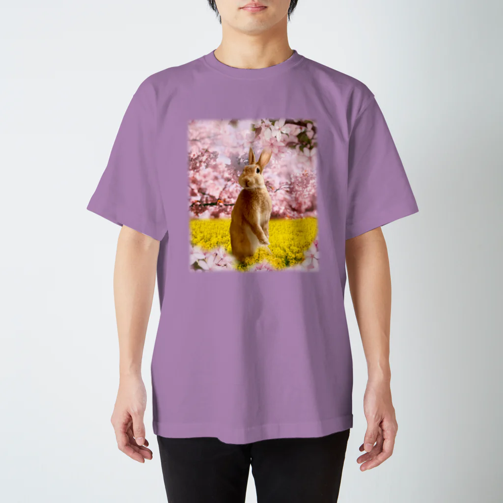 うさぎのうみちゃんねるショップのお花見うさぎ-うさぎのうみ Regular Fit T-Shirt