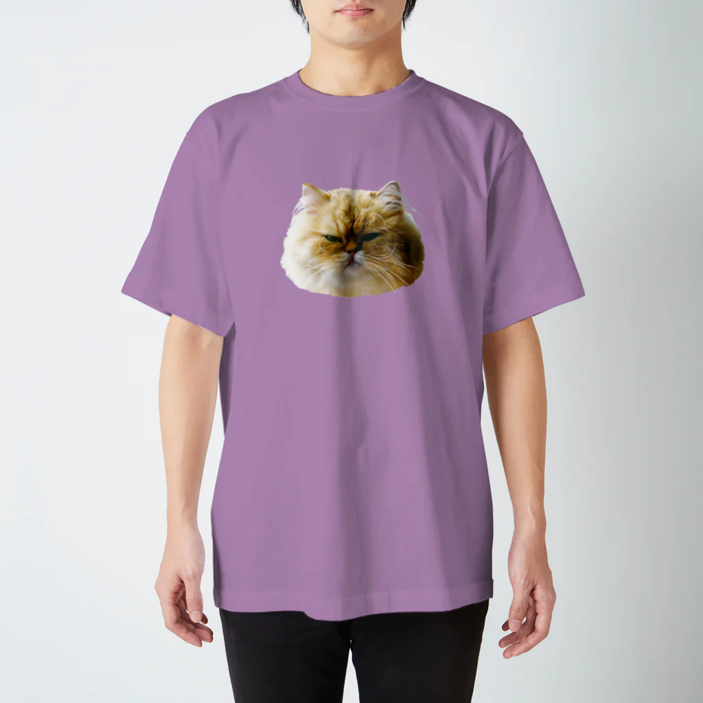 ふみおさんのふてくされペルシャ スタンダードTシャツ