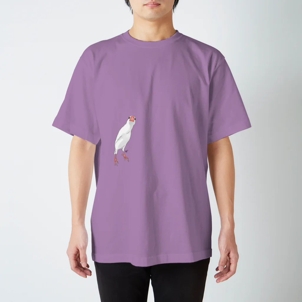 calcalののびのび白文鳥 スタンダードTシャツ