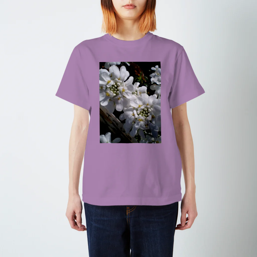 Dreamscape(LUNA)のシュガーキャンディー Regular Fit T-Shirt