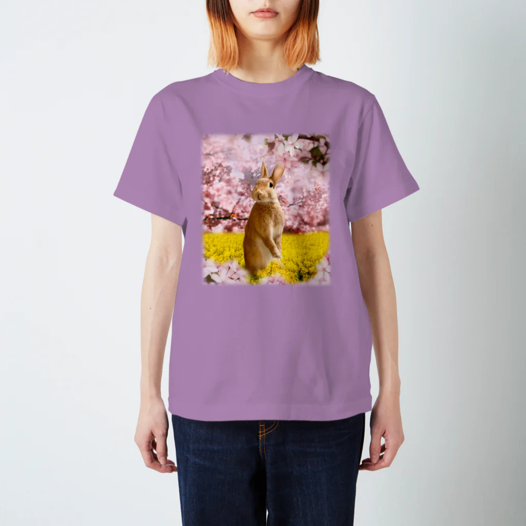 うさぎのうみちゃんねるショップのお花見うさぎ-うさぎのうみ Regular Fit T-Shirt