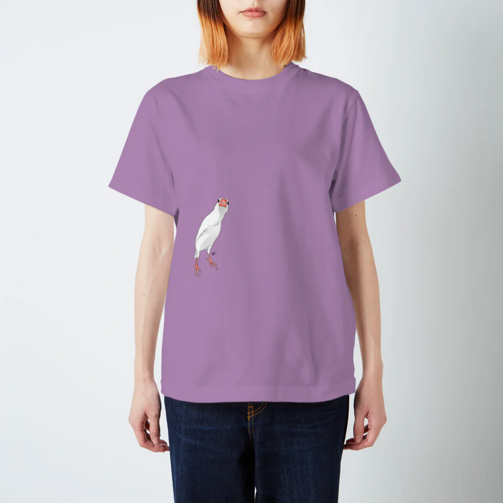 calcalののびのび白文鳥 スタンダードTシャツ