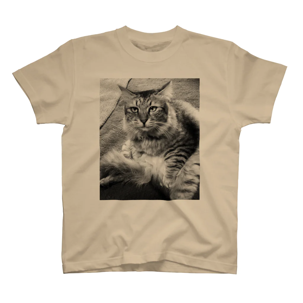 とらち友の会の変な座り方をするねこ スタンダードTシャツ