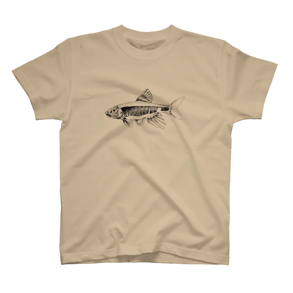 羊歯と魚と水草のひとのオイカワ(モノクロ)その1 スタンダードTシャツ