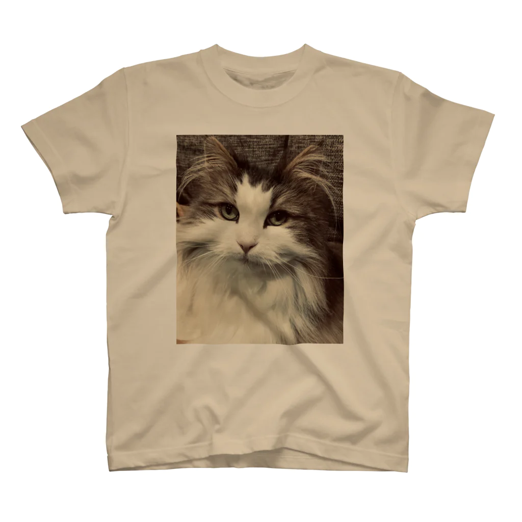 Toi toi toi!のもふ猫Ｔシャツ スタンダードTシャツ