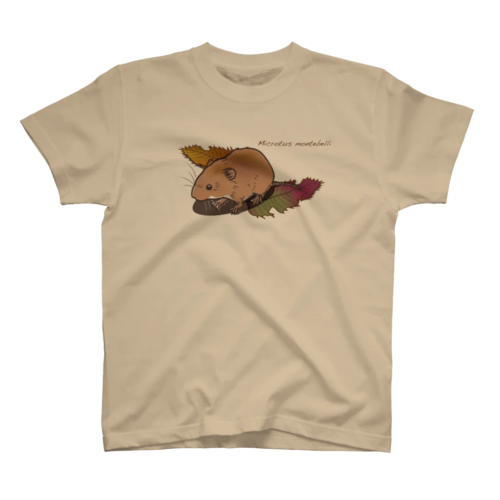 Mika ＠hammytouchの《前面プリント_70》Tシャツ_vole（ハタネズミ） Regular Fit T-Shirt