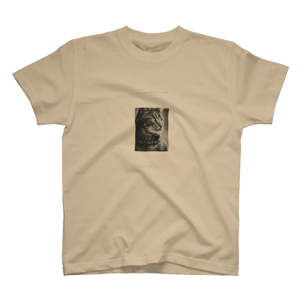 QUIETMILLS.COのSQUARE CATFILMS SERIES Pexels スタンダードTシャツ