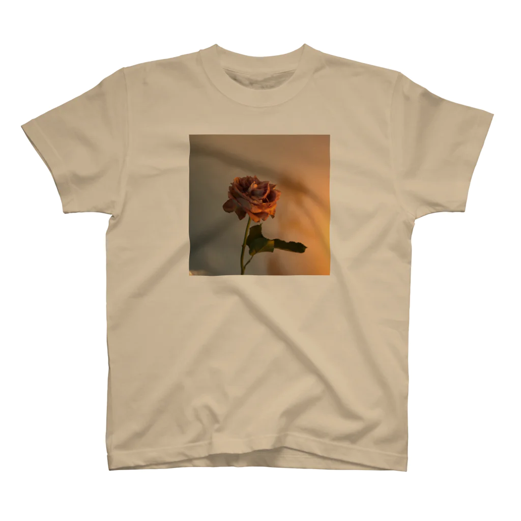 朝の最後の薔薇 スタンダードTシャツ